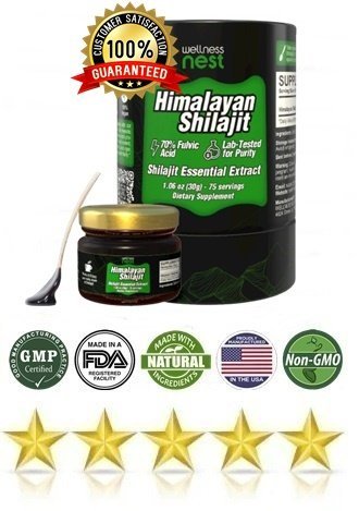 Wellness Nest Shilajit Essential Extract